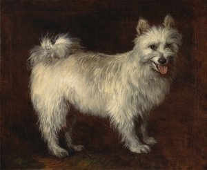 スピッツドッグ 作： Thomas Gainsborough